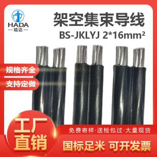 ���ɹ����_BS-JKLYJ 2*16 2о ƽ�м��������Xо����|�ܿվ� 1��