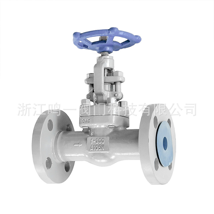 锻钢整体法兰截止阀高清洁禁油脱油脱脂氧气专用截止阀 准确检测