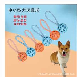  镂空球小狗玩具TPR橡胶球磨牙洁齿圣诞节宠物玩具球源头厂家