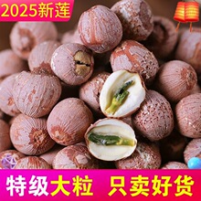 *��؛�����ؼ����ļtɏ�Ӹ�؛��Ƥ��о�tƤ��ɏ�خa�o��500gȥо*