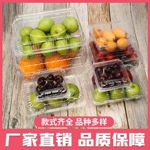 水果盒一次性生鲜托盘食品透明塑料盒超市长方形打包盒pet包装盒