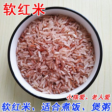 软红米新米农家梯田特产健身糯米孕妇代餐饭团长粒八宝粥糙米10斤