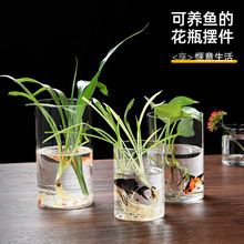 工厂高硼硅玻璃罐花盆水培植物生态瓶插花器鱼缸花瓶创意微景观