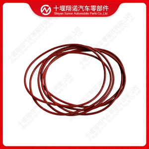 Engine Parts Nt855 Cylinder Liner Water Retaining Ring - Medium 3032874 3008998 215091 183049