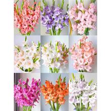 MڄmNл҃ͥԺѷNļ׻ͺֲ