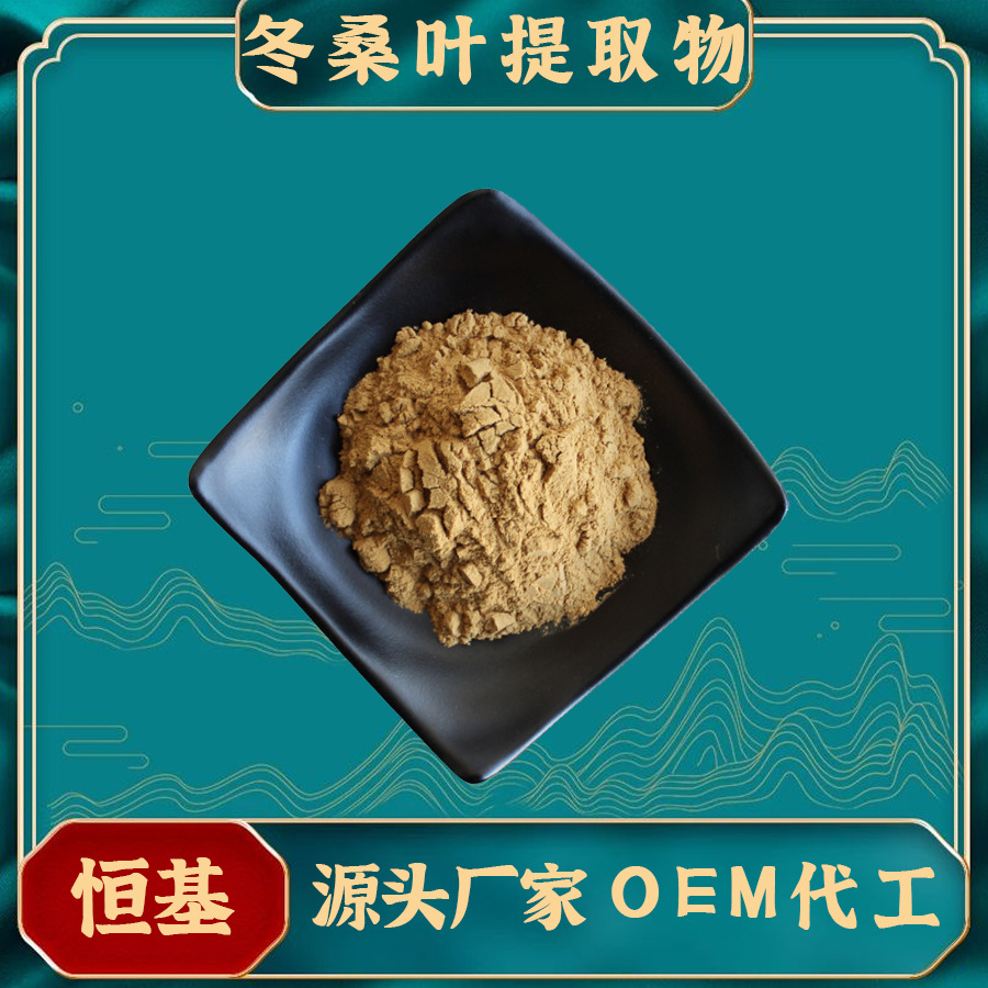 冬桑叶提取物10:1 喷雾干燥 恒基现货 量大优惠 打霜桑叶提取物