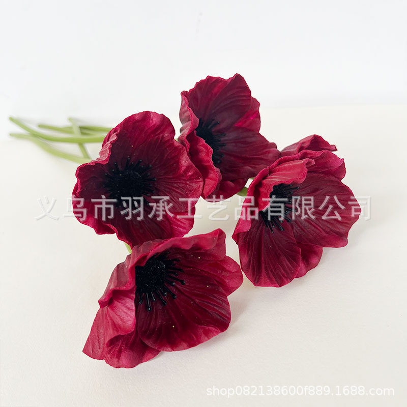 레드 블랙