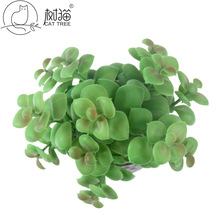 Ʒֲ XľϘ ϻҾbֲСGֲ辰