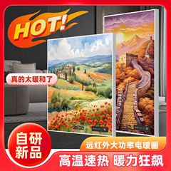 新款高温远红外石墨烯电暖画家用商用速热节能电暖器壁挂式暖气片