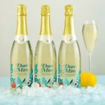 起泡酒香槟果酒气泡酒红酒小甜酒鸡尾酒莫斯卡托厂家直销