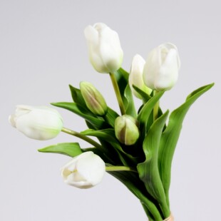 ܛ�z��������滨��c���滨�b�c��ˇ���ÿ��ȏd������������