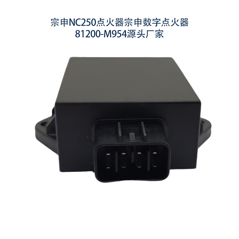 Ignition for Zongshen Cyclone RX3 NC250 Motorcycle 81200-L227
