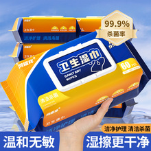 鸿福祥老年人护理湿巾卧床老人专用擦屁股纸湿厕纸家庭实惠装加大