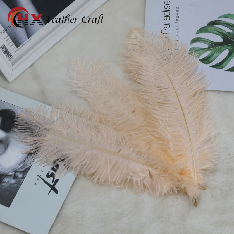 Plumas de avestruz bodas blancas de avestruz guía de plumas accesorios de fotos adornos rojo rosado en línea grandes plumas decoración
