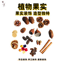 天然果实橡果松果幼儿园环创材料包拍摄道具手工diy果子拍摄摆件