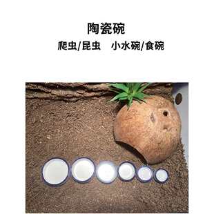 �����մ�Сˮ�� ����ʳ����������X�X֩��ϐ���،m�޽ǹ�����ţ