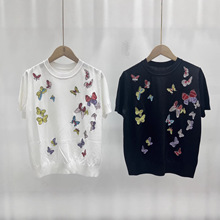 2026���¿��ɫ�����̽��A�I����ᘿ������e����Ů���^��