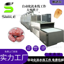 大枣微波干燥设备 连续式红枣脱水设备 烘干熟化隧道炉