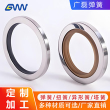 来图定制不锈钢异型弹簧减震压簧紧固弹簧304 316密封油封弹簧