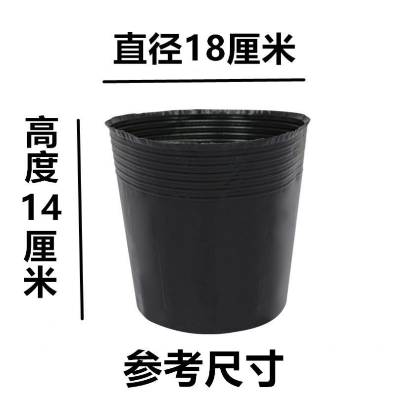 23*18 (diameter 18 and height 14) 100 pieces