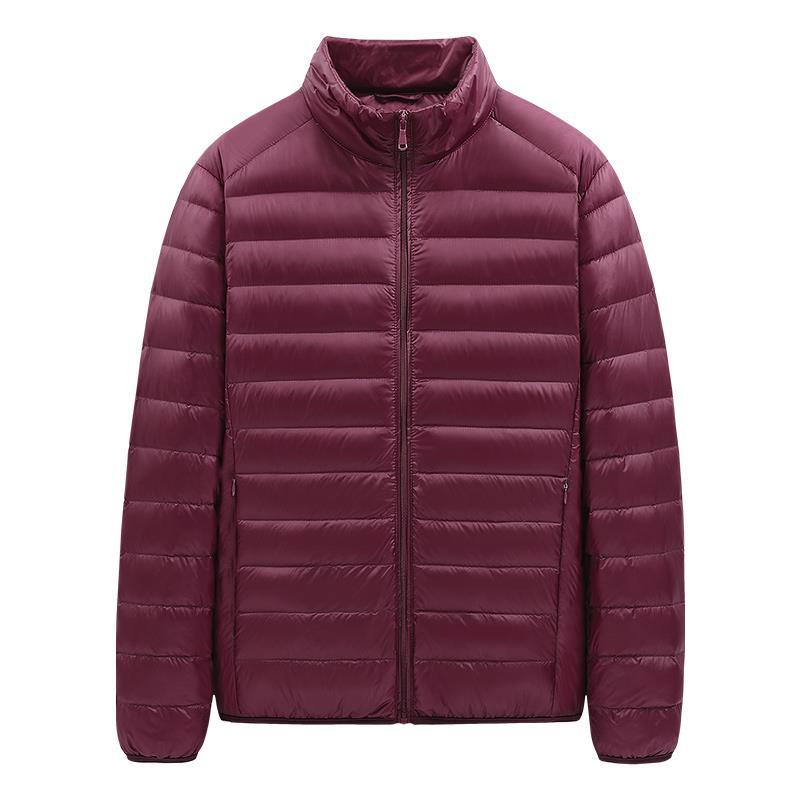 Chaqueta de Plumón para Hombre 2025, Chaqueta de Algodón de Color Sólido para Jóvenes, en Existencia, Ligera, Talla Grande, Ropa para Hombre, Venta al por Mayor por Pieza.