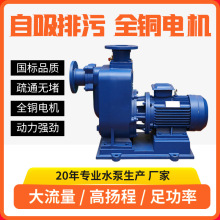 65ZW20-20-3ˮʽUˮʽ۱