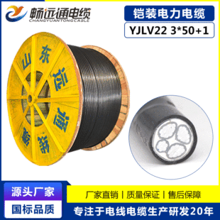 �z�b�����|�p��䓎� YJLV22�����X��| 3*50+1ƽ������ҧ늾�