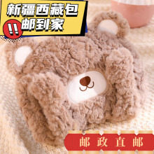 Xinjiang Tibet warm baby charging adult hot water bag羳ר