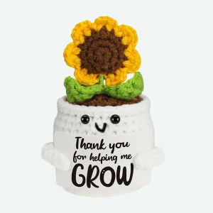 Sunflower potted plant 7 arc petals maroon flower core buds green leaves white pot T card