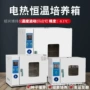 定做霉菌细菌直发培养箱