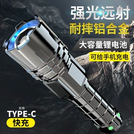 太阳能灯;草坪灯;电棍棒