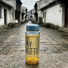 单层塑料 my bottle 水杯透明直筒密封防漏办公休闲随手杯