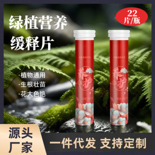 Home Gardening Slow-Release Tablets Indoor Flower Cultivation Flower Pots Succulent Pots Organic Fertilizer Universal Nitrogen, Phosphorus and Potassium Nutrition Tablets