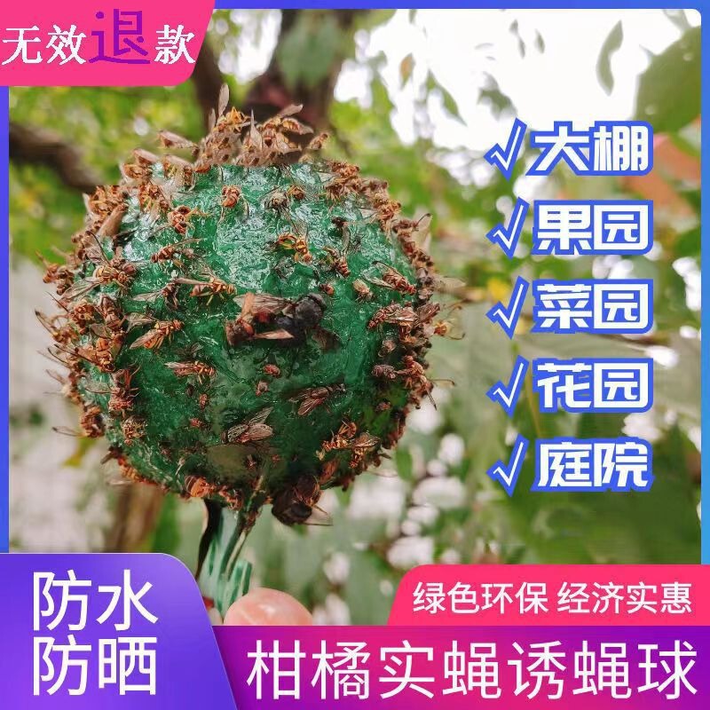 蚊取り器、ハエ取りボール、柑橘類メロンショウジョウバエ捕獲器、メロンショウジョウバエ黄色緑色粘着剤|undefined