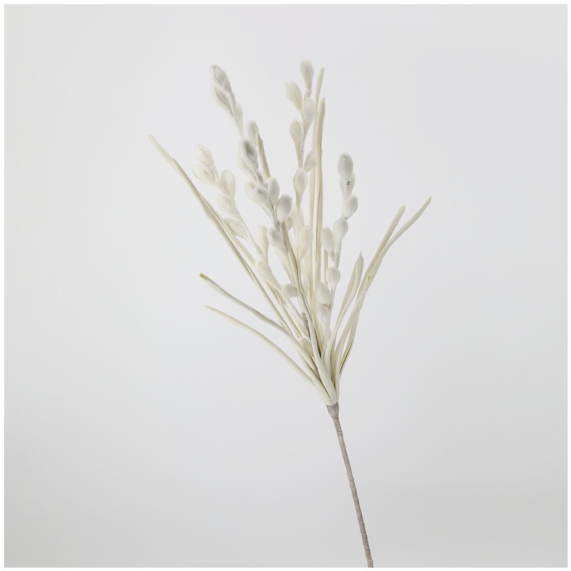 花の卸売りは葉の白い果物の手を持って3叉の大きい剣の葉の乾燥する花の芸術の生け花の材料の撮影の道具があります。|undefined