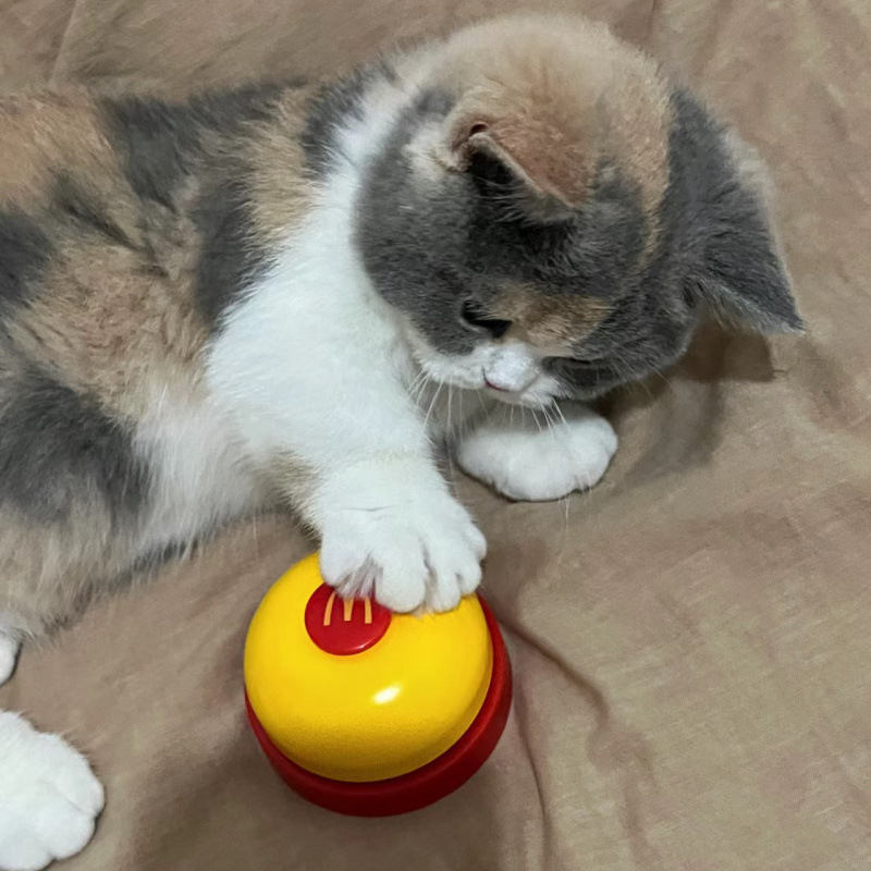 麦当劳猫粮桶小红书同款密封防潮网红收纳箱储粮桶可爱猫猫批发|undefined