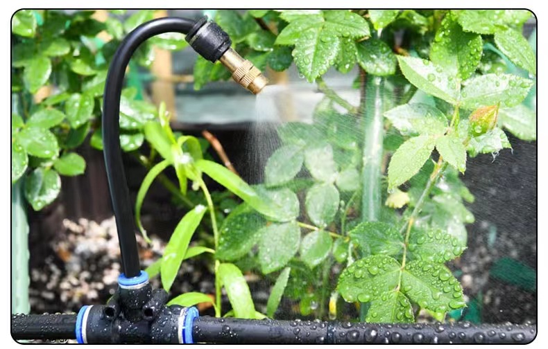 微信图片_20220928205924