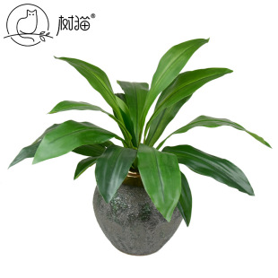 ��̖����ֲ��17�~�����F�ָд��~�Gֲ����ֲ��bٲ�Դ�^�S��