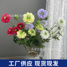 5^xݻc滨ײС»Yb·廨҃쾰