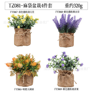 ���R�d���N�S���K������4���� �Ҿ��b�Ʒ����Gֲ������辰���b