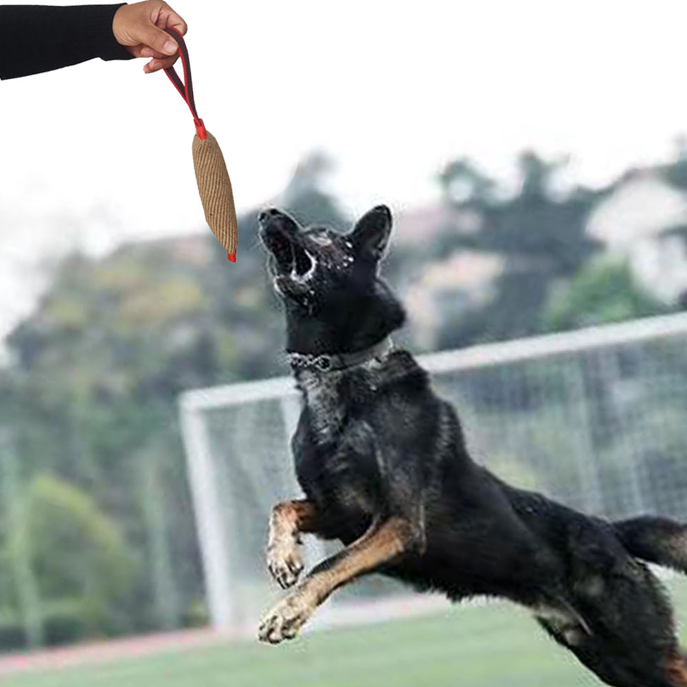 Durable Jute Dog Training Tug Toy And Pet Chew Stick Agility Aid_voghion.com
