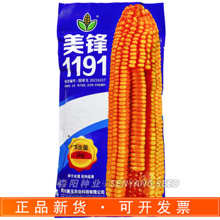 ���h1191�����s���N�t�S�R�X�߮a���������ׇ����������׷N����
