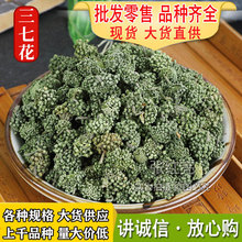 三七花产地货源三七花田七花2-3-4年云南文山三七花大货价格优