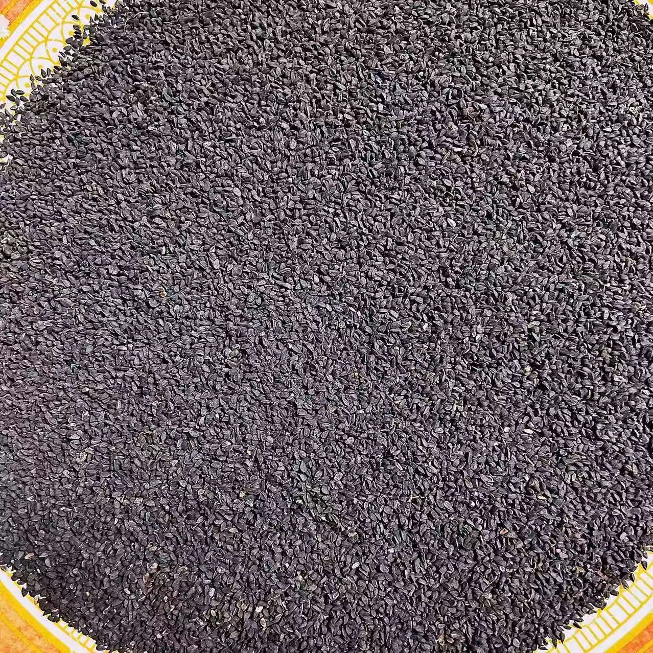 Black Cumin Seed (Nigella sativa) — Xinjiang Black Seed, 500g Food Herb key features