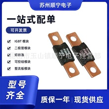 BUSS����˿�۶��� AMG-100 125A 175A 200A 250A 32V ȫ��ԭװ