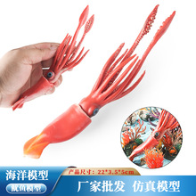 �羳�����������ģ�ͷ��挍�����~����\��צ�~���~��ͯ�J֪���