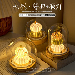 貝海胆ナイトライトガラスカバー完成品 DIY 材料パッケージチームビルディング活動のお供誕生日ギフト装飾品
