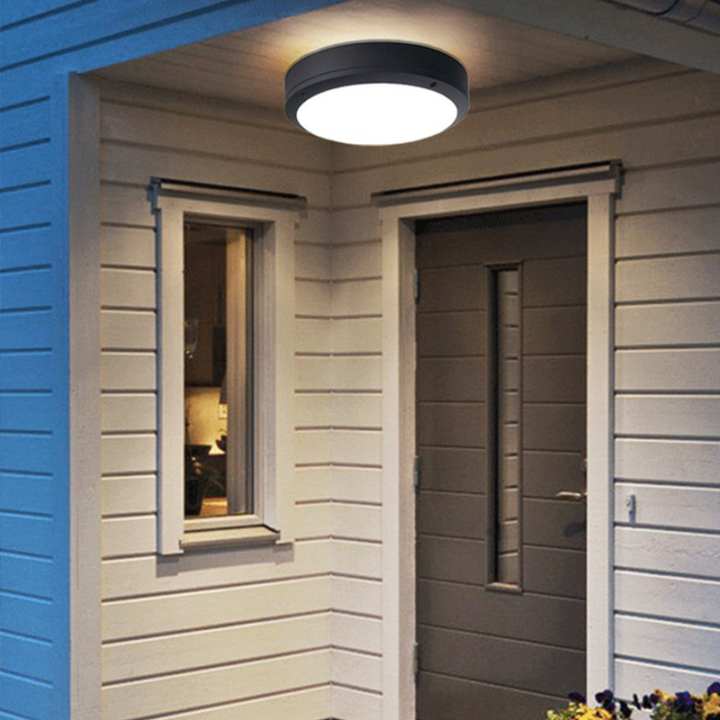 Outdoor Ceiling Lamp Waterproof and Insect-Proof Balcony Entrance Door Pavilion Corridor Aisle House Courtyard Led Ceiling Lamp