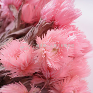 ��������ʯ������ѩɏ�yѩ���ɻ����l���W�L�����b��߲廨����