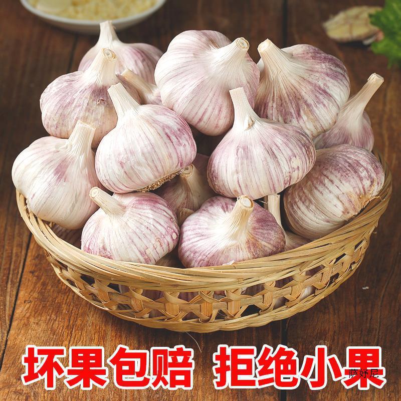 山东金乡大蒜头干蒜5斤新鲜蒜籽2024当季蔬菜批发紫皮10斤特大果|undefined